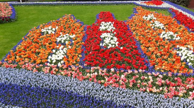 parco Keukenhof aiuole fiorite