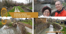 trekking urbano navile bologna 274s