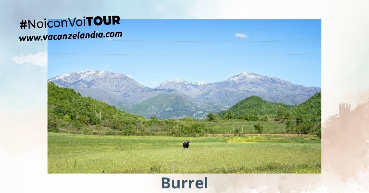 Burrel