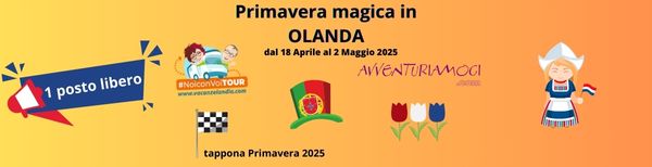 olanda camper un posto libero