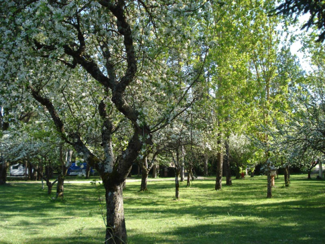 piazzole6 rio verde camping gubbio costacciaro