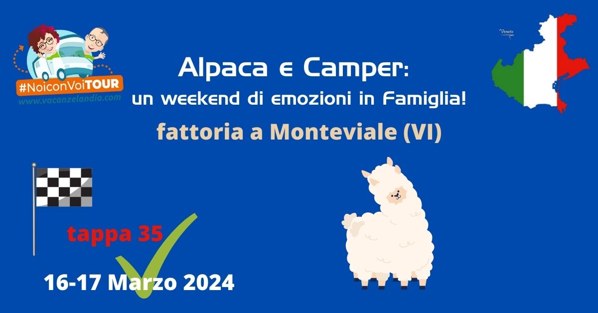 tappa35 alpaca fatta