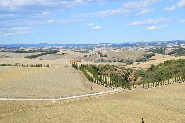 siena 2658974 640