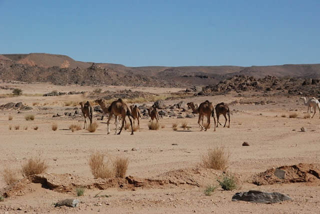 algeria in camper avventuriamoci