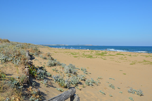 Vacanzelandia Camping Is Arenas Sul Mare A Narbolia Or