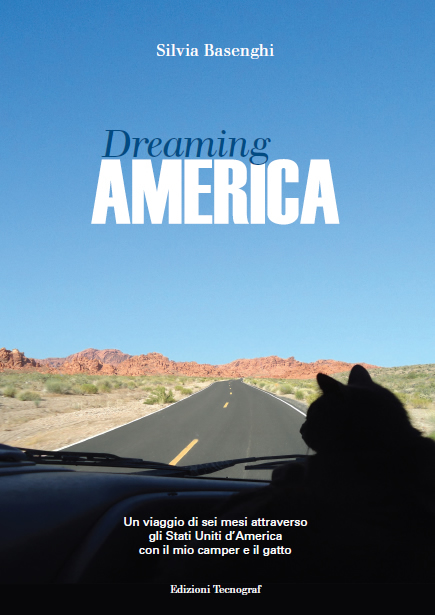 fronte_libro_dreaming_america