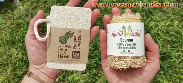 spugne luffa