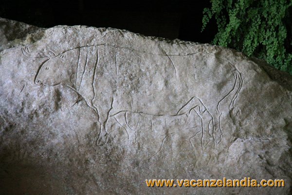 122    Calabria   Papasidero   Grotta del Romito   Bos Primigenius