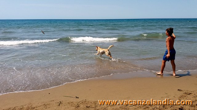 Vacanzelandia Vacanzelandia