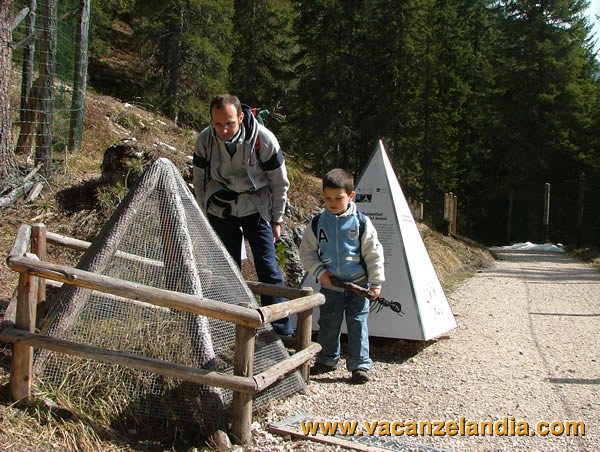02   Trentino Alto Adige   Val di Funes   sentiero Zannes   formicaio